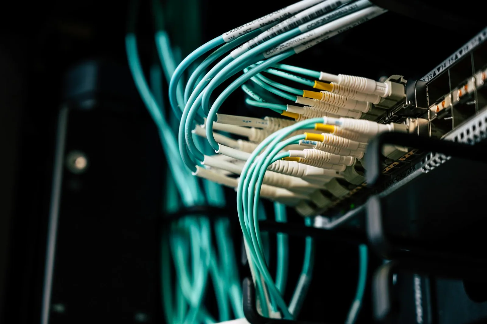 Netzwerkkabel an einem Server als Symbol für DNS-Abfragen und Internet-Infrastruktur